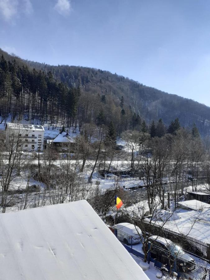 Casa Ryana Sinaia Ξενοδοχείο Εξωτερικό φωτογραφία