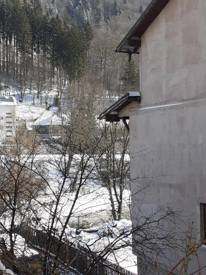 Casa Ryana Sinaia Ξενοδοχείο Εξωτερικό φωτογραφία