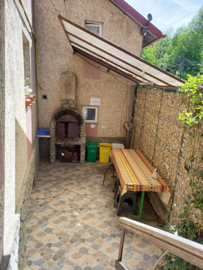 Casa Ryana Sinaia Ξενοδοχείο Εξωτερικό φωτογραφία