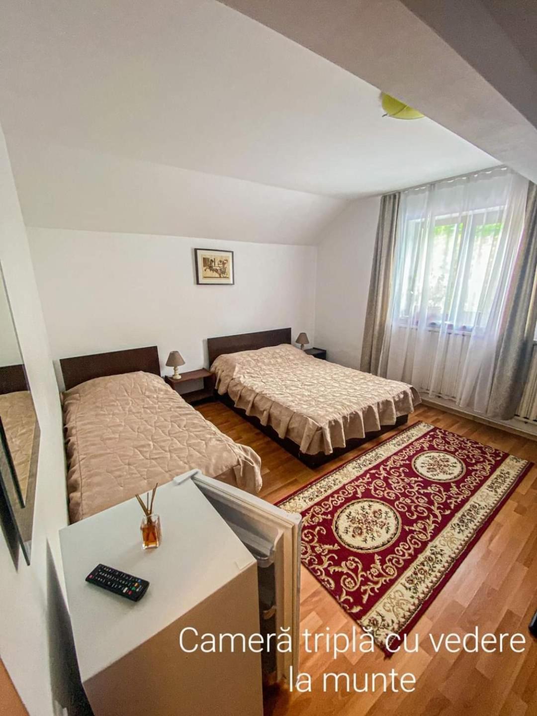 Casa Ryana Sinaia Ξενοδοχείο Εξωτερικό φωτογραφία