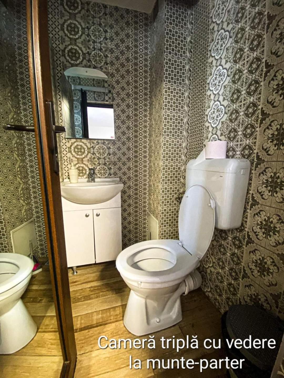 Casa Ryana Sinaia Ξενοδοχείο Εξωτερικό φωτογραφία