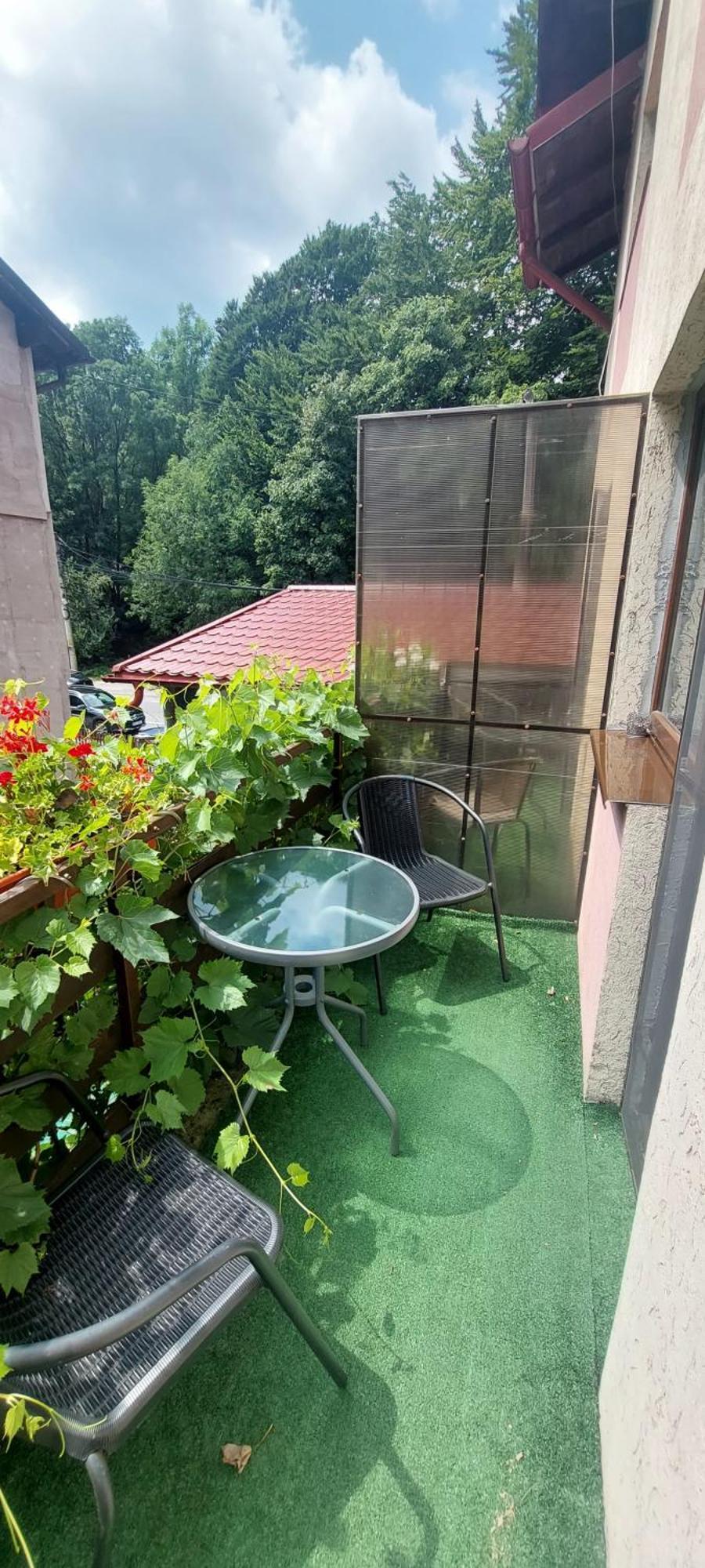 Casa Ryana Sinaia Ξενοδοχείο Εξωτερικό φωτογραφία