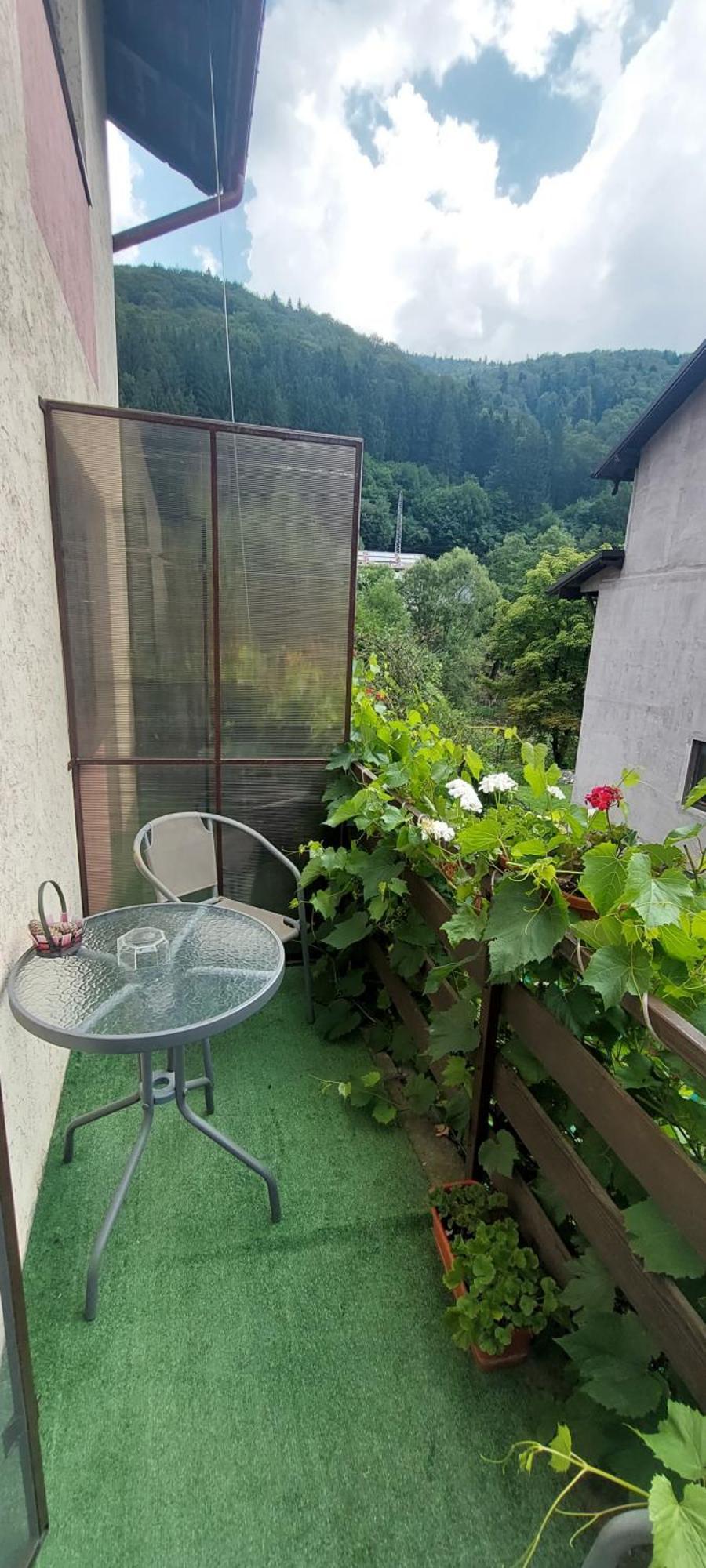 Casa Ryana Sinaia Ξενοδοχείο Εξωτερικό φωτογραφία